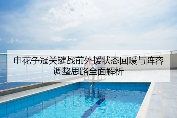 申花争冠关键战前外援状态回暖与阵容调整思路全面解析