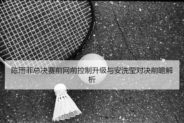 陈雨菲总决赛前网前控制升级与安洗莹对决前瞻解析
